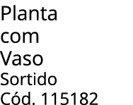 Planta com Vaso Sortido C d. 115182