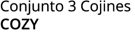 Conjunto 3 Cojines cozy