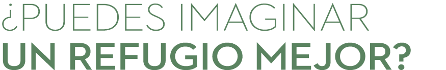 ¿PUEDES IMAGINAR UN REFUGIO MEJOR? 