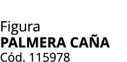 Figura Palmera Ca a C d. 115978