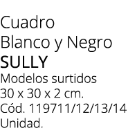 Cuadro Blanco y Negro Sully Modelos surtidos 30 x 30 x 2 cm. C d. 119711/12/13/14 Unidad. 