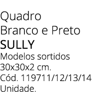 Quadro Branco e Preto Sully Modelos sortidos 30x30x2 cm. C d. 119711/12/13/14 Unidade. 