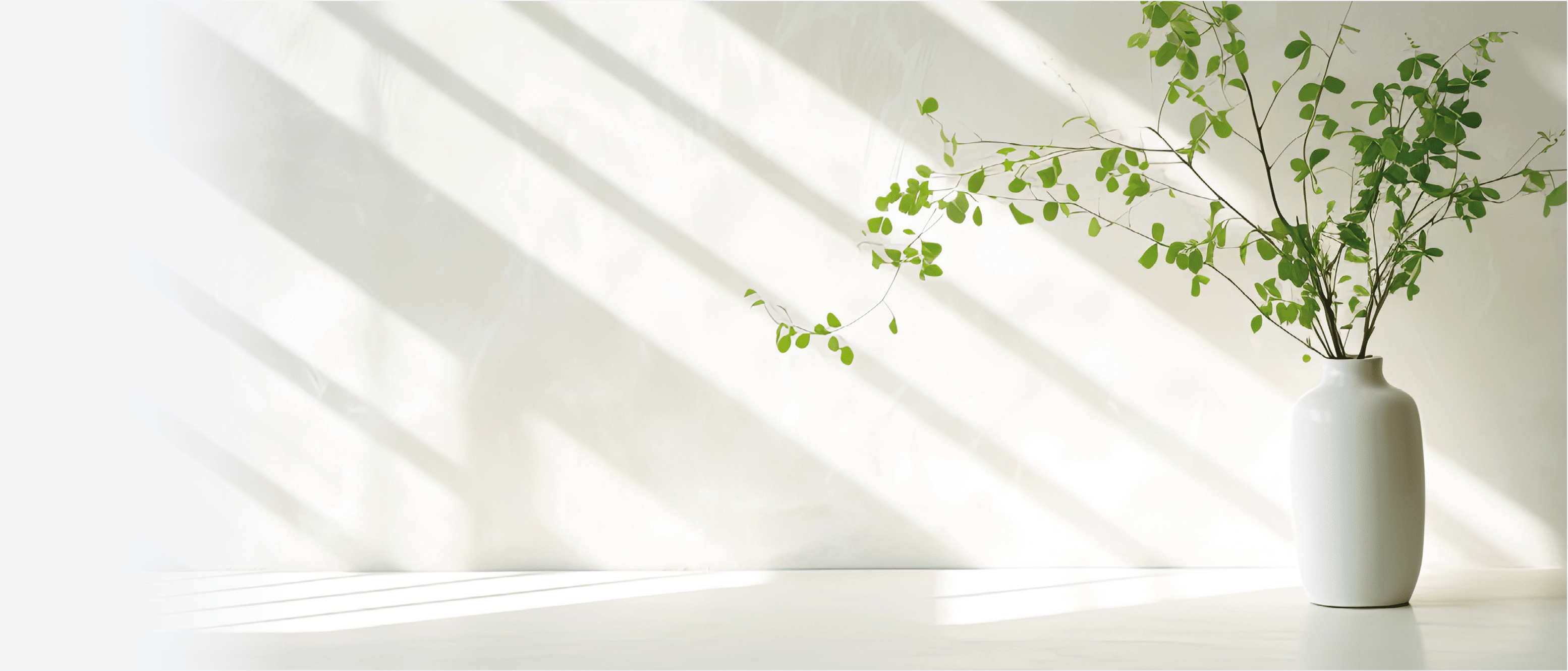Green branch of tree with shadow against white marble tile wall and wood table with copy space in the spring sunlight