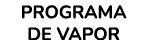 PROGRAMA DE VAPOR