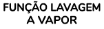 Fun o lavagem a vapor