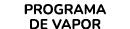 PROGRAMA DE VAPOR
