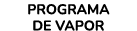 Programa de vapor