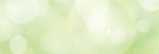 A fresh spring green garden foliage background with blurred bokeh.