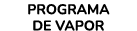 Programa de vapor