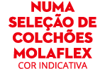 numa sele o de colch es MOLAFLEX Cor Indicativa