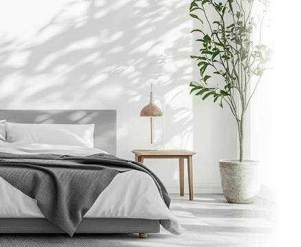 Modern bedroom interior, sunlight, shadows, plant, calm ambiance. Use Home design, architecture, interior decor