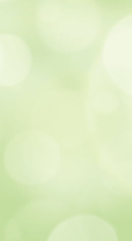 A fresh spring green garden foliage background with blurred bokeh.