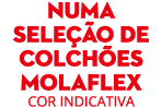 numa sele o de colch es MOLAFLEX Cor Indicativa