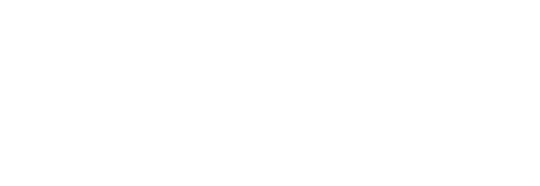  20%