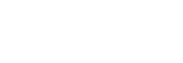  20%