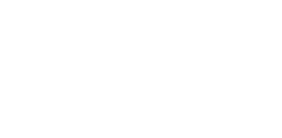 399 € 00