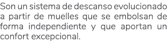 Son un sistema de descanso evolucionado a partir de muelles que se embolsan de forma independiente y que aportan un c...