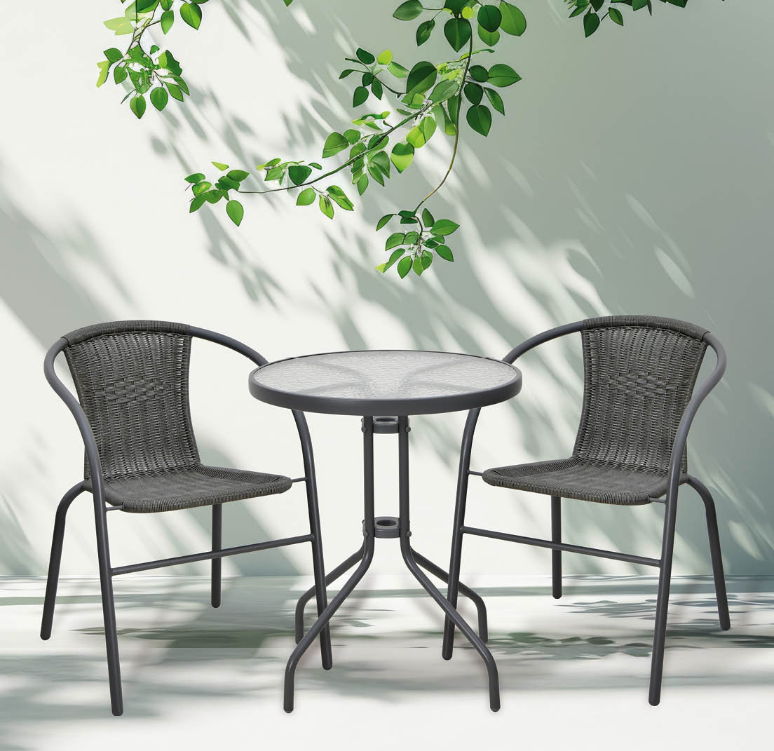 Sunlit green branch casting shadow on white wall and floor, empty space.