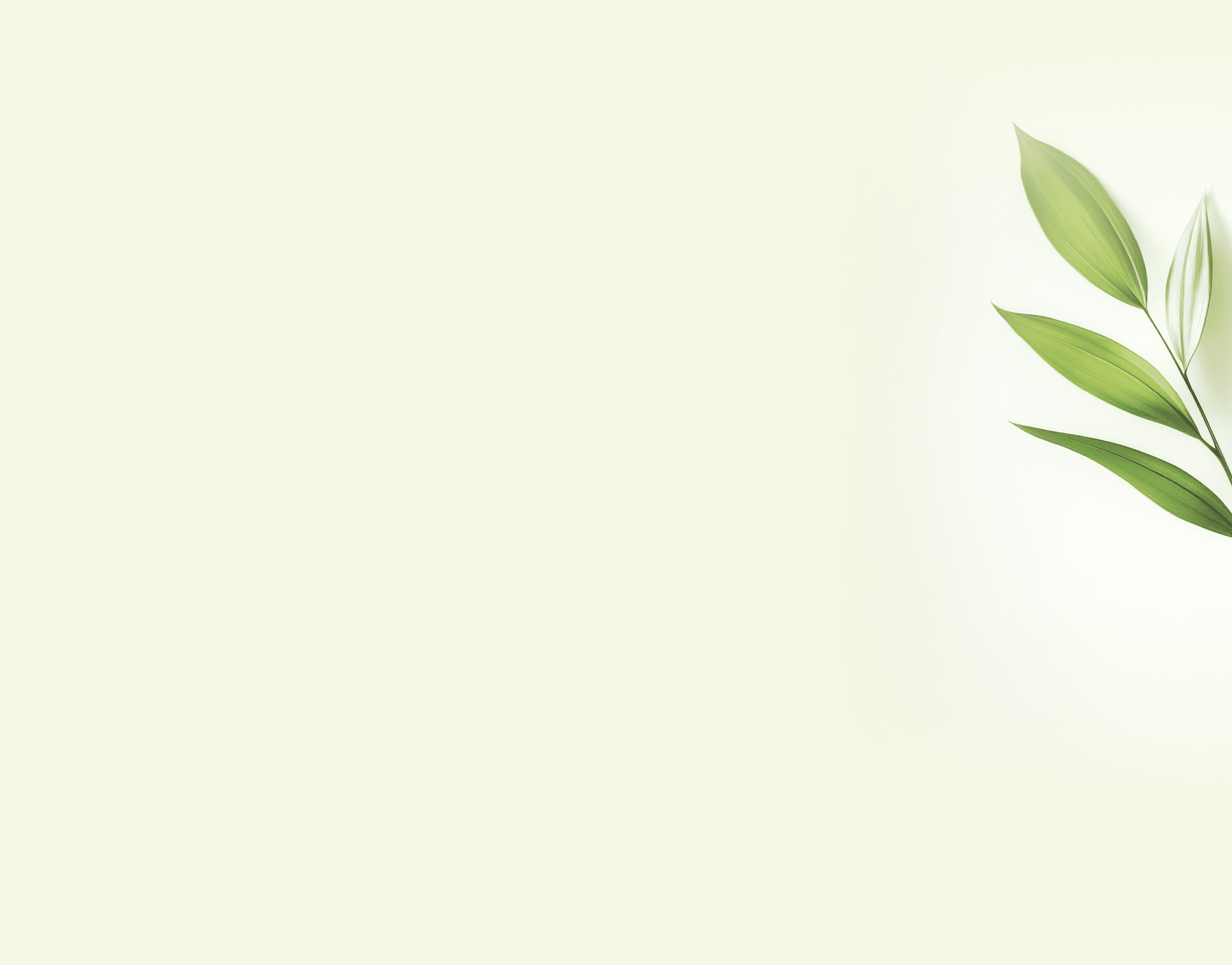 Single green plant sprig with variegated leaves on white background.