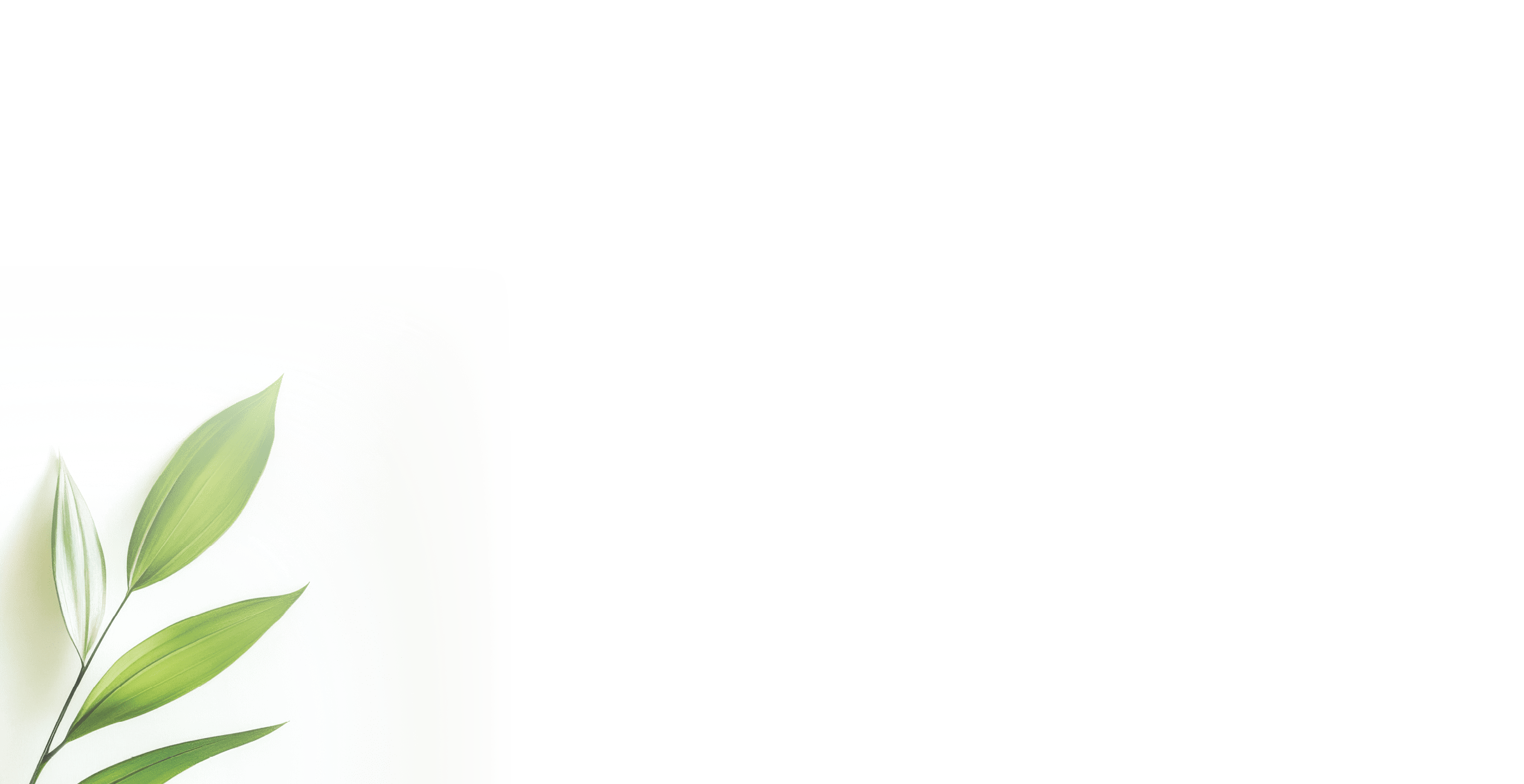 Single green plant sprig with variegated leaves on white background.