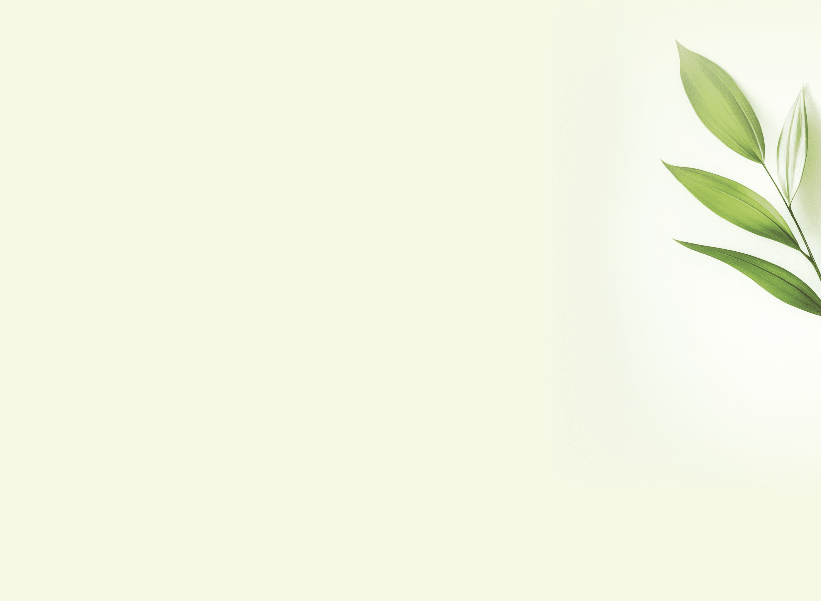 Single green plant sprig with variegated leaves on white background.