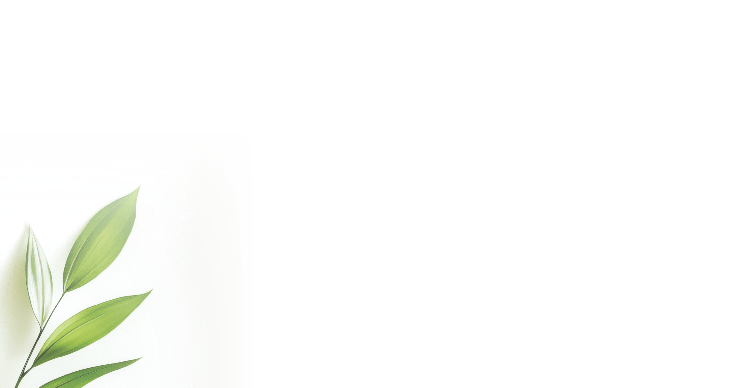 Single green plant sprig with variegated leaves on white background.