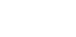  20%