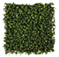 A large green plant with many leaves. AI generated content