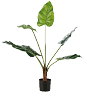 A large green leafy plant is in a black pot. AI generated content