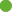 Oval