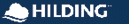 A blue and white logo for a company called Hillig. AI generated content