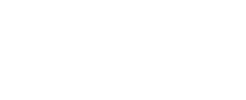  20% 