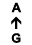 A ↑ G