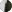 Oval