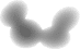 Oval
