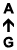 A ↑ G