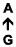 A ↑ G
