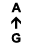 A ↑ G