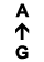 A ↑ G
