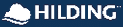 A blue and white logo for a company called Hillig. AI generated content
