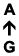 A ↑ G
