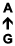A ↑ G