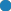 Oval