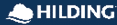 A blue and white logo for a company called Hillig. AI generated content
