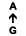 A ↑ G