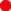 Oval