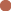 Oval