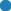Oval
