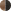 Oval