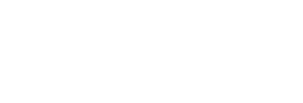  20%